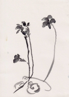 http://www.soerenhiob.com/files/gimgs/th-99_neue scanns februar 5 5.jpg